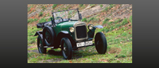Laubfrosch 1924